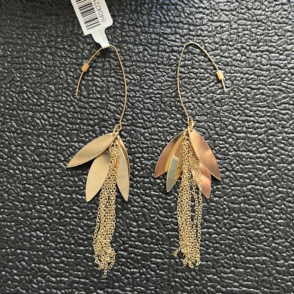 NWT Gold Drop Earrings